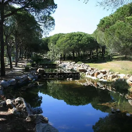 Algarve Альтура